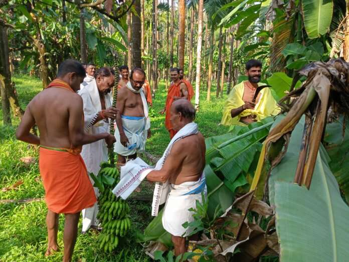 4252f56a-457a-4d25-aabc-11f71b5385a5