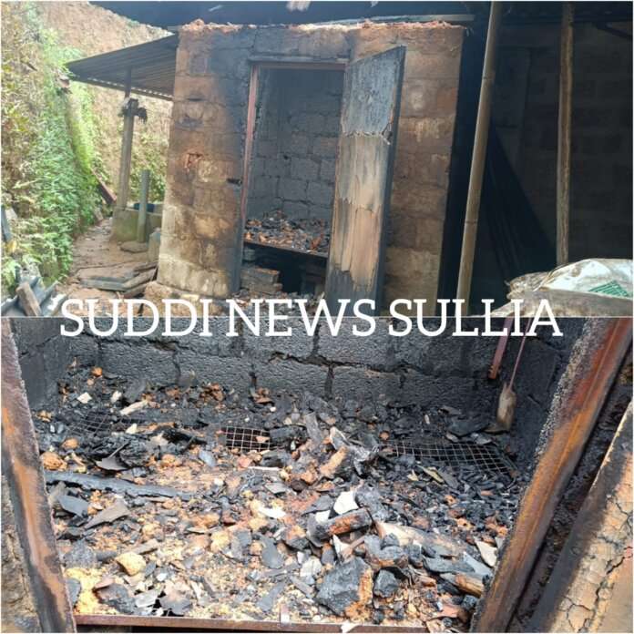 WhatsApp Image 2025-02-16 at 11.26.49_fa7116a5