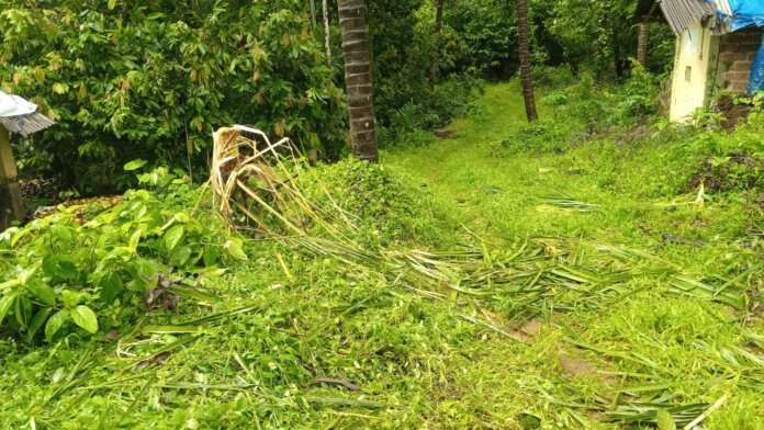 ea5ad103-e015-4026-af02-858e7b8327a4