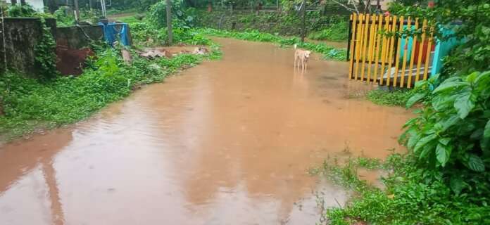 085ca14a-715b-4051-b7e8-82eaf208a5ef