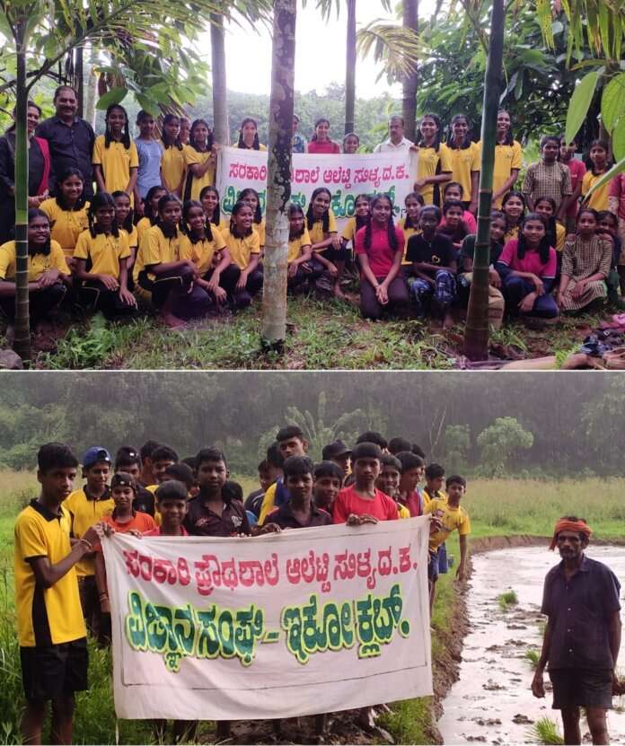 533ca89f-a9a9-4364-a60d-594375e1f0d7