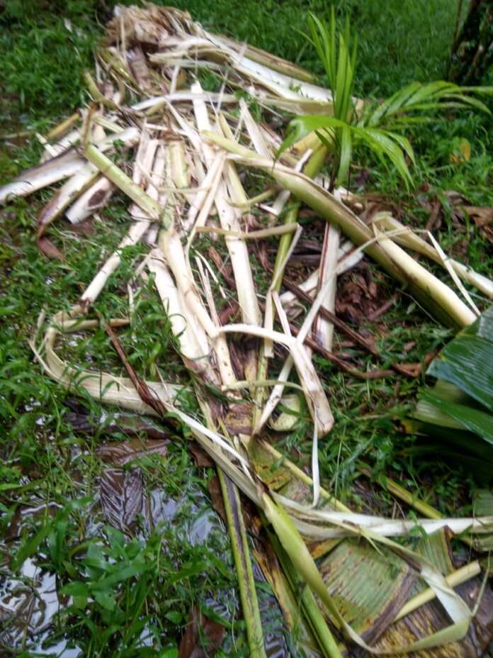 96b304fd-b4c8-4748-b5cb-c1dda8396fc9