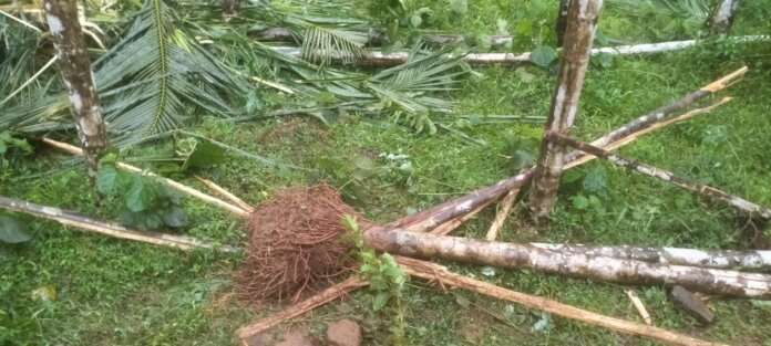 9f8524ed-36fd-4949-a106-a8621403c9ca