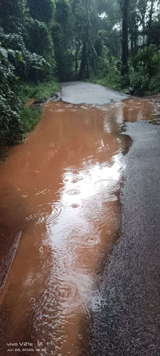 f8b0095b-4f11-4805-8f3c-05b432416bbc