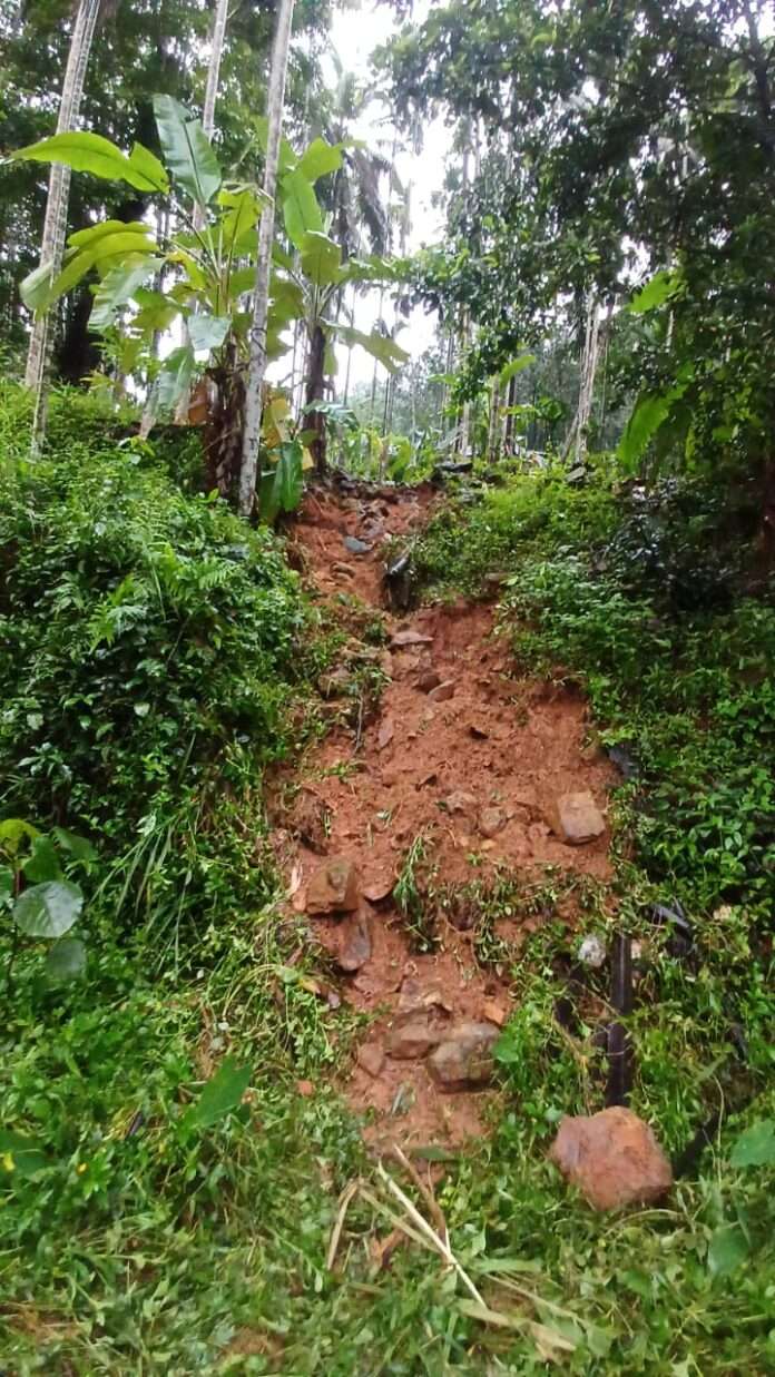 1d36dea7-6729-4f94-91c6-67fca2e78ba4