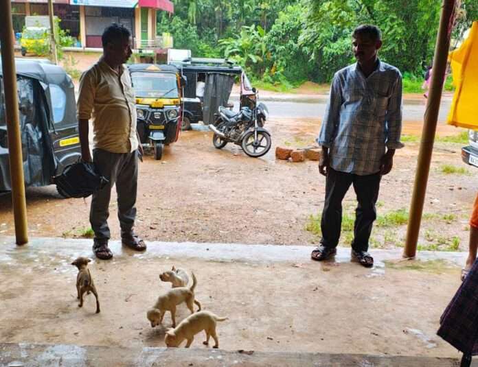 3bafd5fb-e168-4247-9bd2-8be6d25767a9