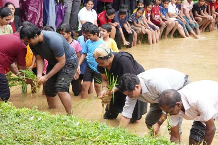 3e487684-74a3-4cfa-a21b-6eba4391e948