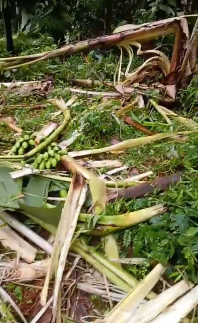 724b8758-c017-4036-8ee9-93fd7c06741b