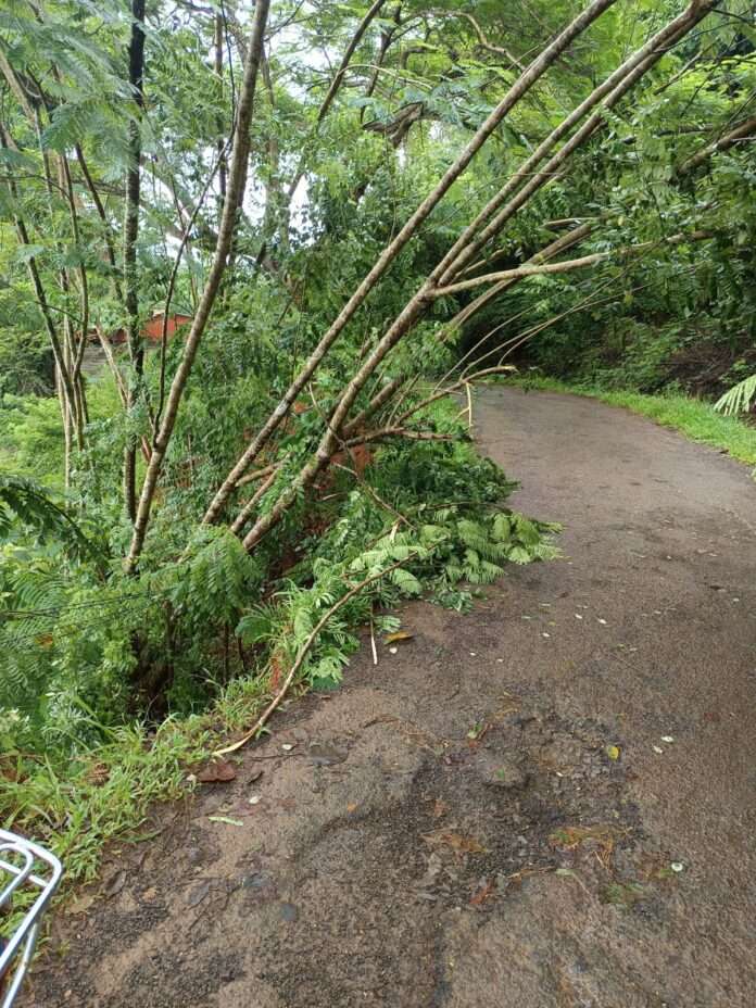 777e3250-f182-4fa3-a9d9-0ff782ca2232