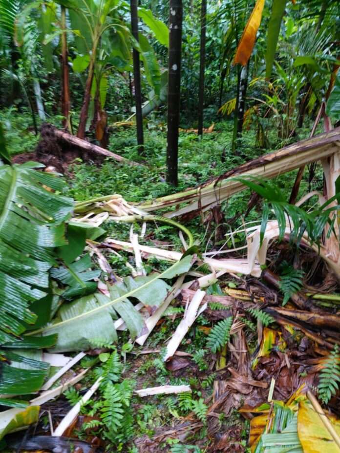 8032c005-6646-4969-8738-ad846808395b