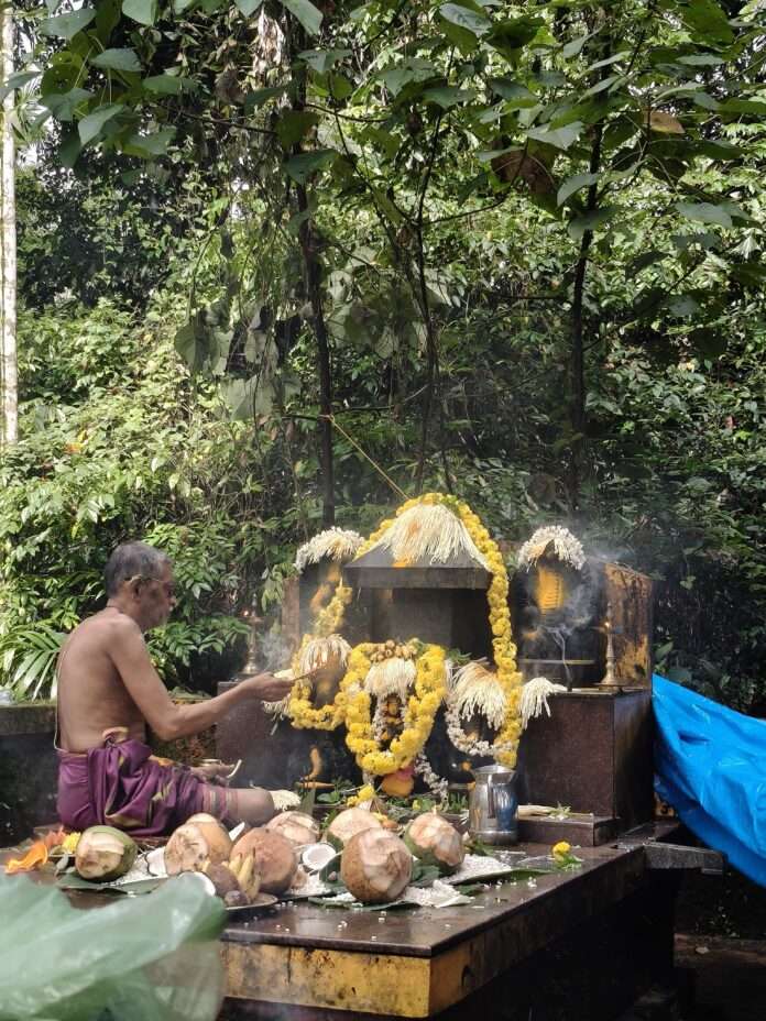 9ee4caf7-56db-418c-845e-1461ba4e3403