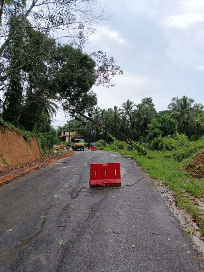 b32c90c0-b413-48b1-85d3-15632c98e2f0