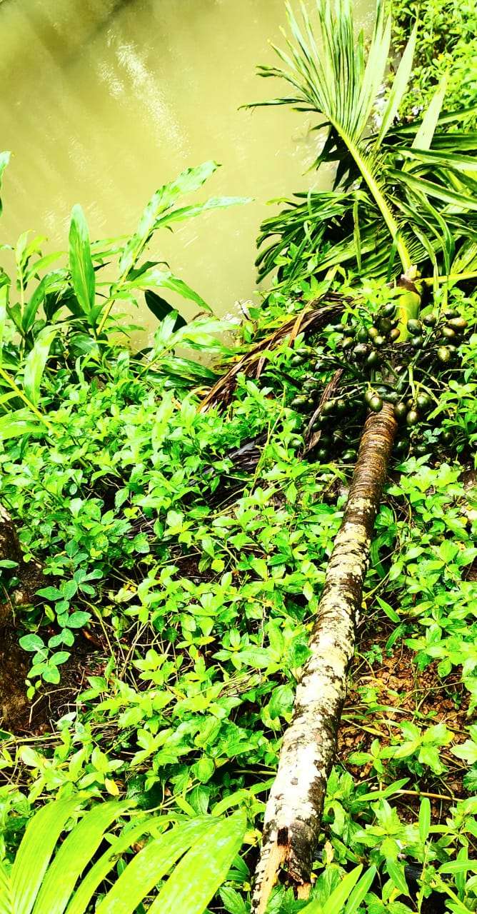 c67f579b-9d2a-4d9d-ab41-49f9a4f233f9