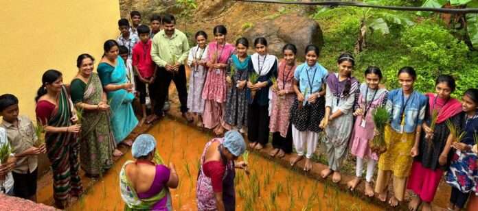 ಎಣ್ಮೂರು ನೇಜಿ ನಾಟಿ ...