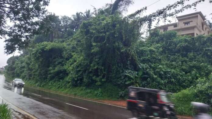 26e62b3d-135d-4f78-b3ef-51357e76cde8