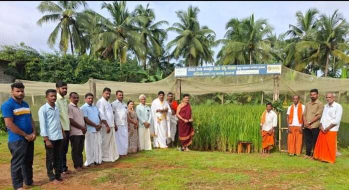 3506e8fa-c935-4af5-baa1-3abe7ce8e79b