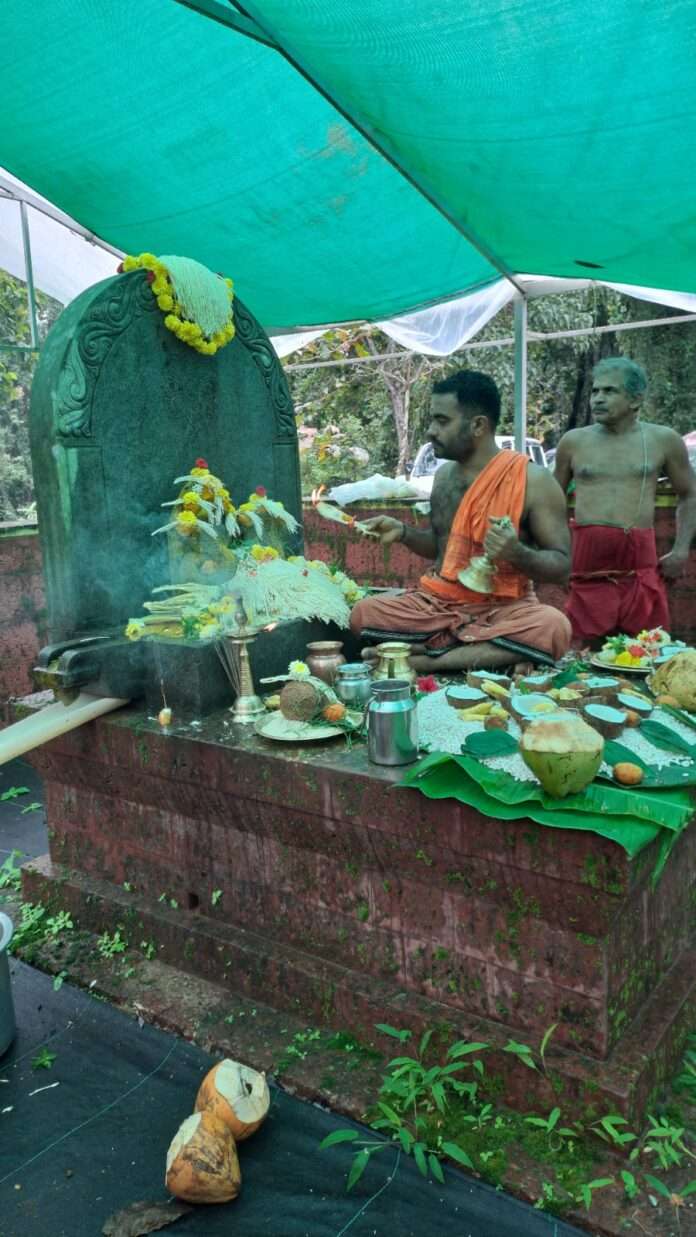 637a3887-db0f-41e1-aff7-9b4de077866e