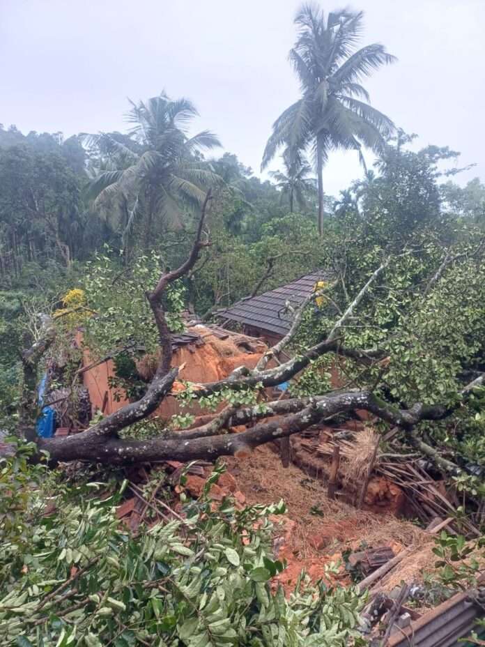 dcd625a8-d87d-481e-83da-62c7f631e991 (1)