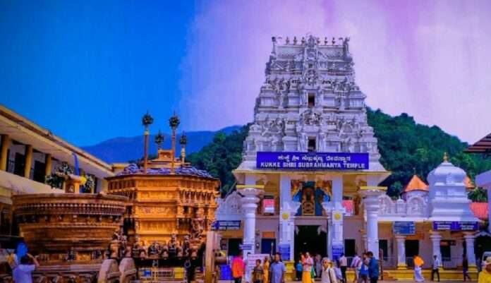 fbcaf81b-0c2f-4880-b3ed-4b66918b40a3