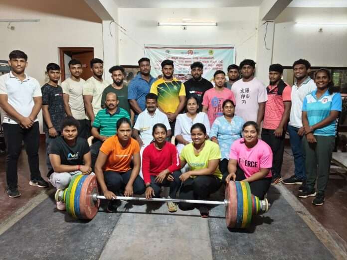 d356cd0c-4d47-4cb2-aa69-42db5b7dfdeb