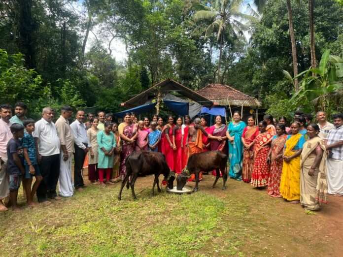 705157a7-226f-4519-b916-d60a70b6037f