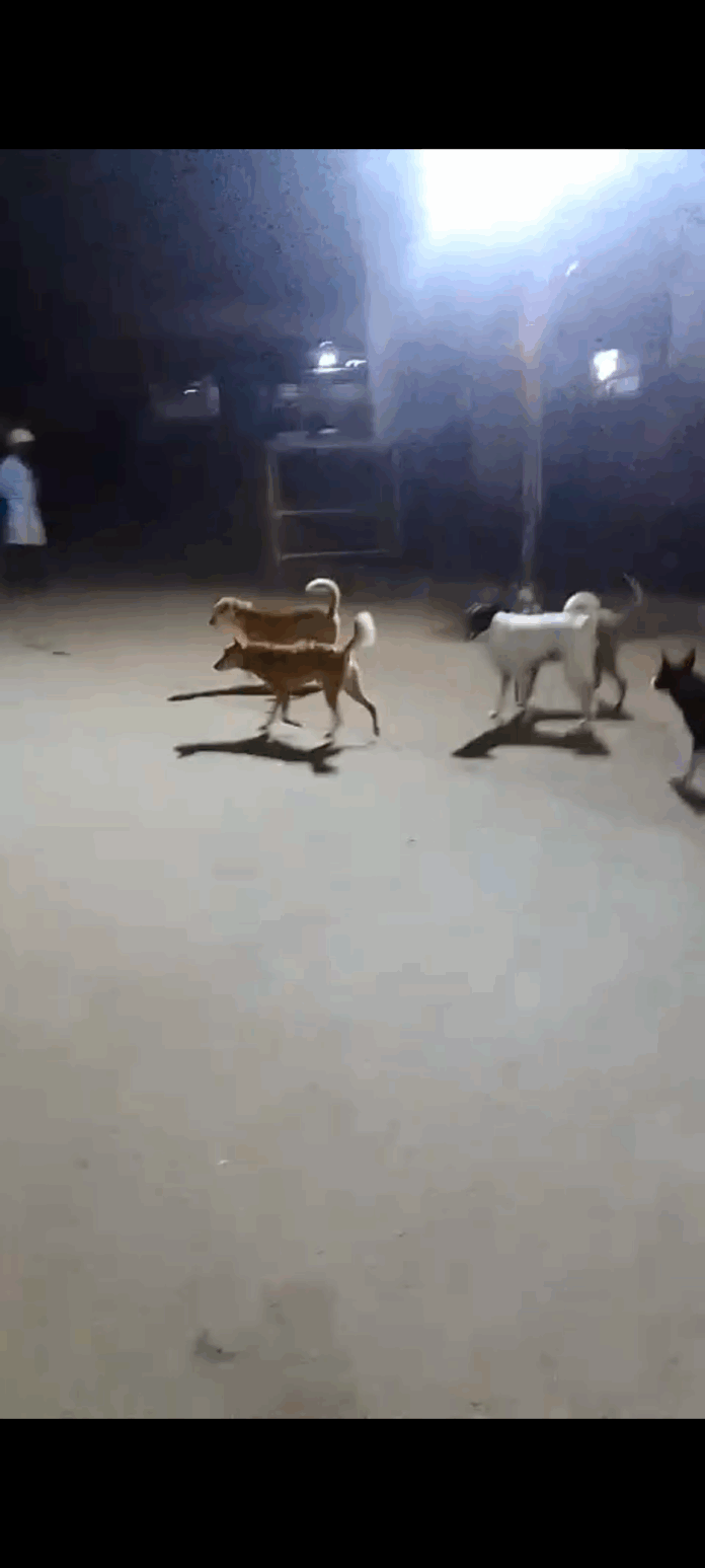 Screenshot_20251125-081004.WhatsApp