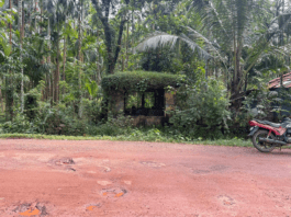 ಕೇರ್ಪಡ : ಬಸ್ ನಿಲ್ದಾಣ ಕುಸಿಯುವ ಭೀತಿಯಲ್ಲಿ…. ಕೇಳುವವರಿಲ್ಲವೇ ?