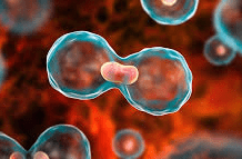 ಡಿ. 13 : ಸುಳ್ಯದಲ್ಲಿ ಕ್ಯಾನ್ಸರ್ ಜಾಗೃತಿ ಜಾಥಾ, ಕ್ಯಾನ್ಸರ್ ಸಮೀಕ್ಷೆ ಹಾಗೂ ಸಂವಾದ ಕಾರ್ಯಕ್ರಮ