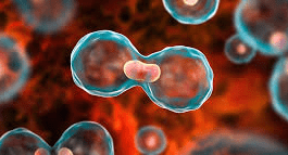 ಡಿ. 13 : ಸುಳ್ಯದಲ್ಲಿ ಕ್ಯಾನ್ಸರ್ ಜಾಗೃತಿ ಜಾಥಾ, ಕ್ಯಾನ್ಸರ್ ಸಮೀಕ್ಷೆ ಹಾಗೂ ಸಂವಾದ ಕಾರ್ಯಕ್ರಮ