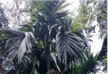 ಬೆಳೆ ವಿಮೆ ಪರಿಹಾರ: ರೈತರ ಬೇಡಿಕೆಗೆ ಸ್ಪಂದಿಸಬೇಕಿದೆ ಸರ್ಕಾರ