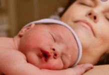 ಕಾಂಗರೂ ಮದರ್ ಕೇರ್